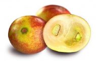 میوه ای که از چاقی و بیماری های متابولیک پیشگیری می کند