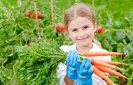 خواص هویج برای کودکان