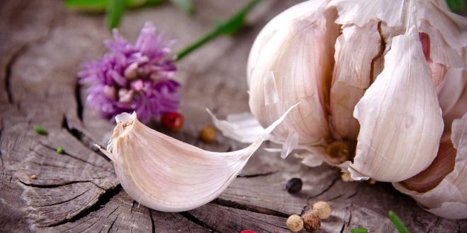 مصرف-سیر-خام