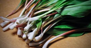 ramps