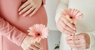 Pregnancy-and-death-statistics