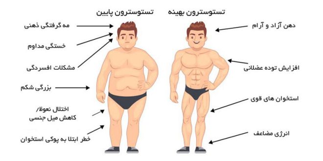 Decreased-testosterone