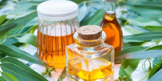 Eucalyptus-oil