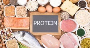 protein