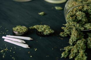 تاثیر حشیش بر حافظه